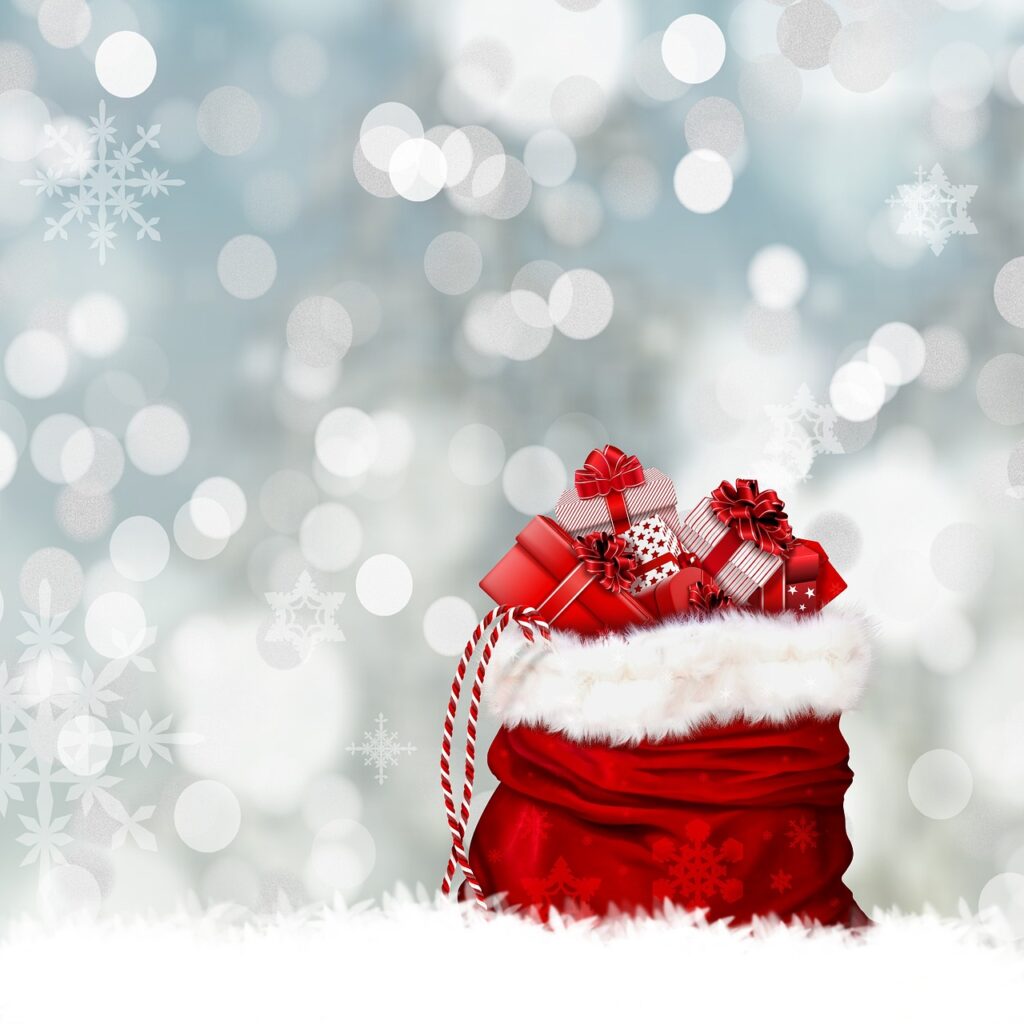 christmas, gifts, gift bag-2947257.jpg